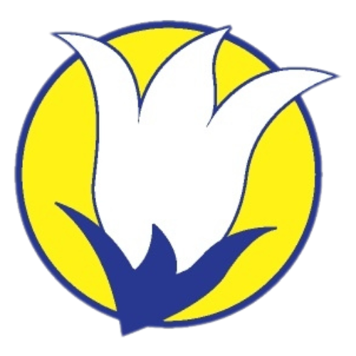 Untitled design (1)